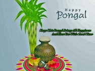 Pongal Wallpapers | Download Pongal WallPaper HD for Mobile & Desktop